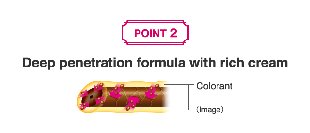 2. Deep penetration formula with rich cream