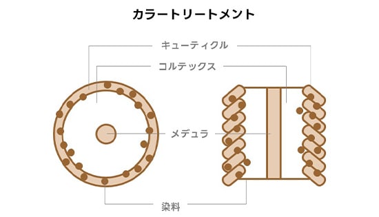 カラートリートメント